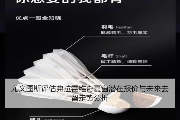 you-wen-tu-si-ping-gu-fu-la-huo-wei-qi-xia-chuang-qian-zai-bao-jia-yu-wei-lai-qu-liu-zou-shi-fen-xi-3-873.jpg